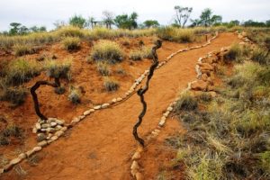 Responsible Travel at Trek Larapinta Camp